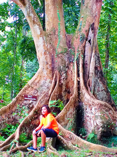 Huyong-huyong Nature Park