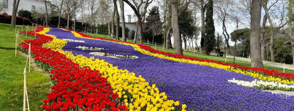 İBB Emirgan Grove Travel Forum Reviews