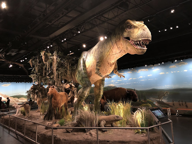 ICR Discovery Center