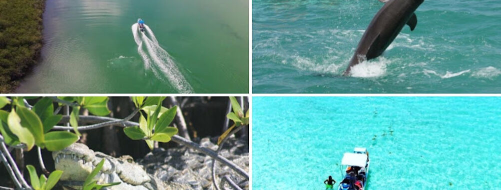 ITour Mexico Riviera Maya Tulum Eco Tours Travel Forum Reviews