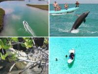 ITour Mexico Riviera Maya Tulum Eco Tours Travel Forum Reviews