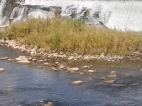 Idaho Division of Tourism Development Travel Forum Reviews