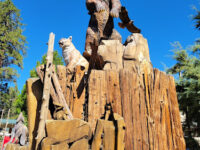 Idyllwild Park Travel Forum Reviews