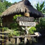 Ifugao Village