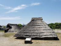 Ikegami-Sone Archaeological Park Travel Forum Reviews
