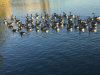 Île de Loisirs de Créteil Travel Forum Reviews