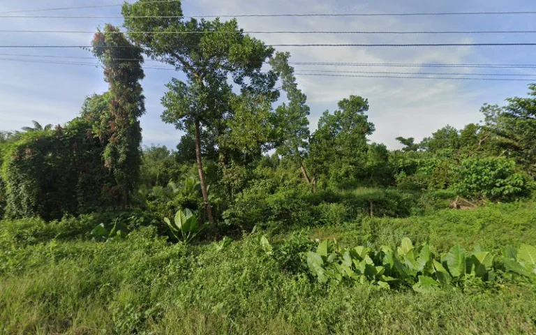 Inandeng River Cruise