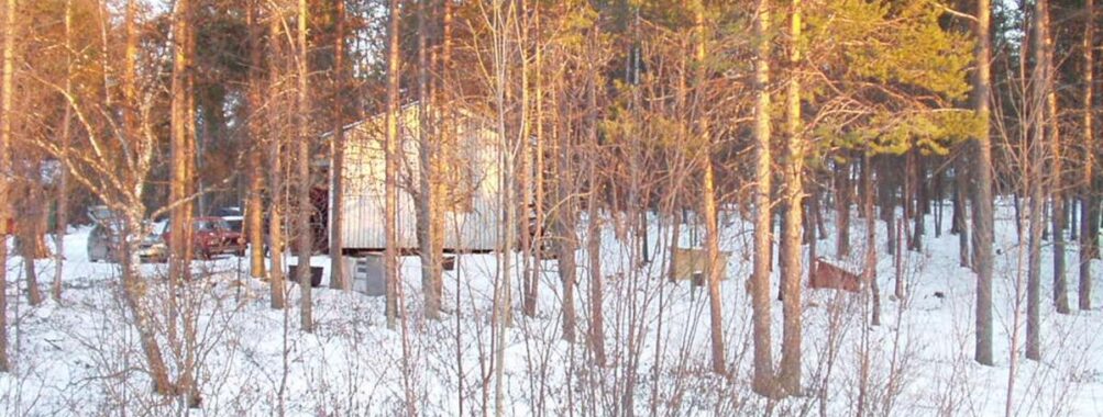 Aurora adventure with a glass sleigh ride Review