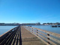 Independence Park Travel Forum Reviews