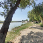 Indus Dolphin Conservation Centre
