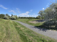 Ingegerdpark Travel Forum Reviews