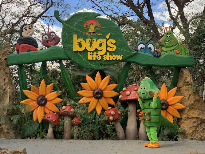 Insectlandia