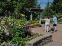 Inspiration Garden at Town Centre Park Travel Forum Reviews