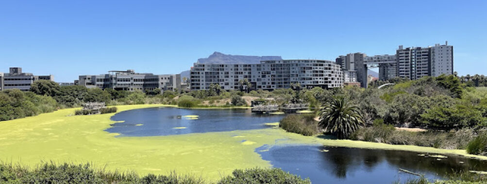 Intaka Island Travel Forum Reviews