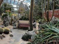Inverness Botanic Gardens and Café Travel Forum Reviews