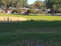 Inwood Terrace Park Travel Forum Reviews
