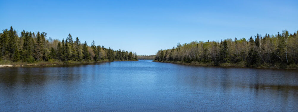 Irishtown Nature Park Travel Forum Reviews