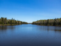 Irishtown Nature Park Travel Forum Reviews