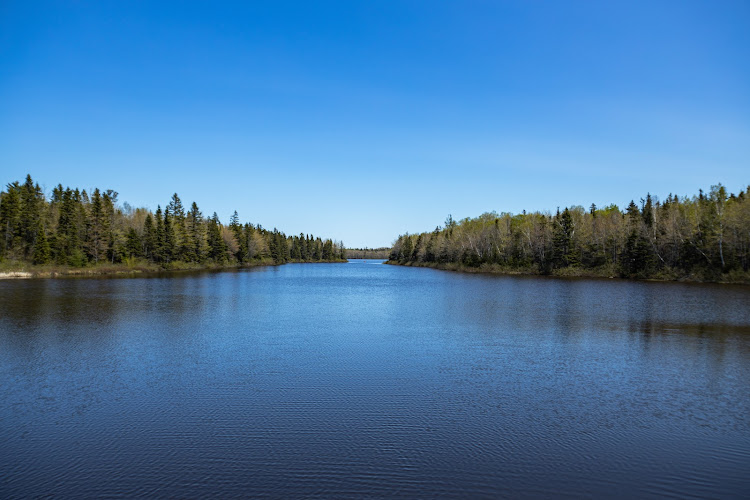 Irishtown Nature Park