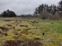 Iron Age Settlement Travel Forum Reviews