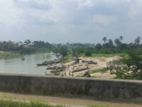 Isaac Boro Garden Park Travel Forum Reviews