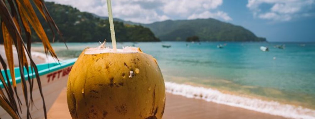 Island Experiences Tours & Charters Trinidad & Tobago Travel Forum Reviews