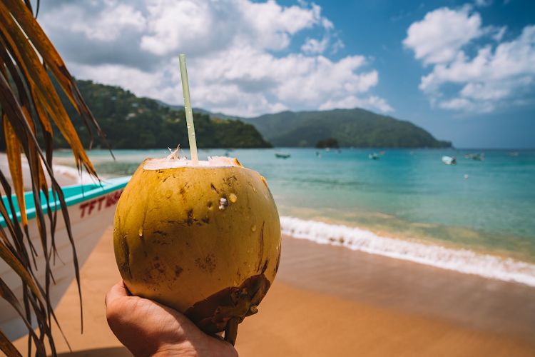 Island Experiences Tours & Charters Trinidad & Tobago