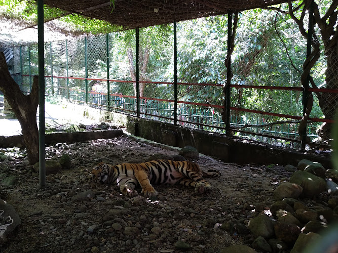 Itanagar Zoo
