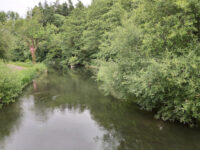 Itchen Valley Country Park Travel Forum Reviews