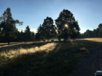 Ivó Wildlife Park Travel Forum Reviews