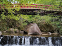 Iwayado Park Travel Forum Reviews