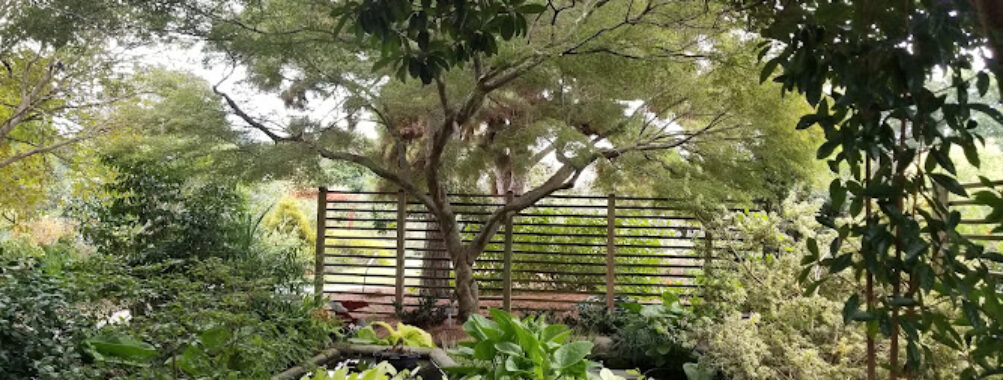 JC Raulston Arboretum Travel Forum Reviews
