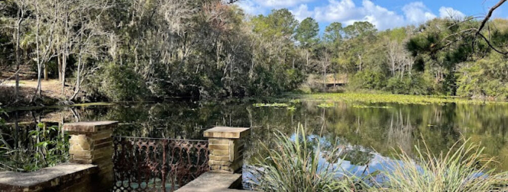 Jacksonville Arboretum & Botanical Gardens Travel Forum Reviews