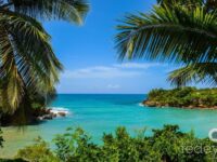 Jacmel Travel Forum Reviews