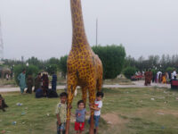 Jacobabad Travel Forum Reviews