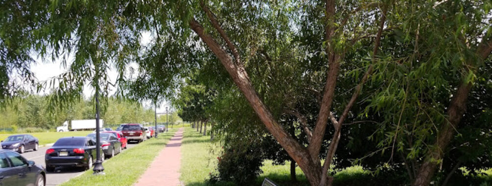 James J. Donovan Park Travel Forum Reviews