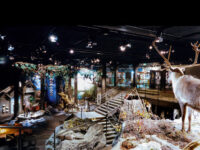 Jamtli Travel Forum Reviews
