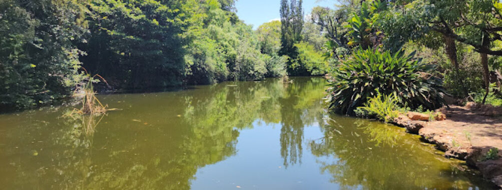Jan Cilliers Park Travel Forum Reviews
