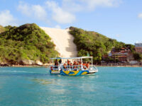 Jangalancha Show Travel Forum Reviews