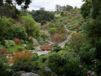 Japanese Friendship Garden and Museum Travel Forum Reviews