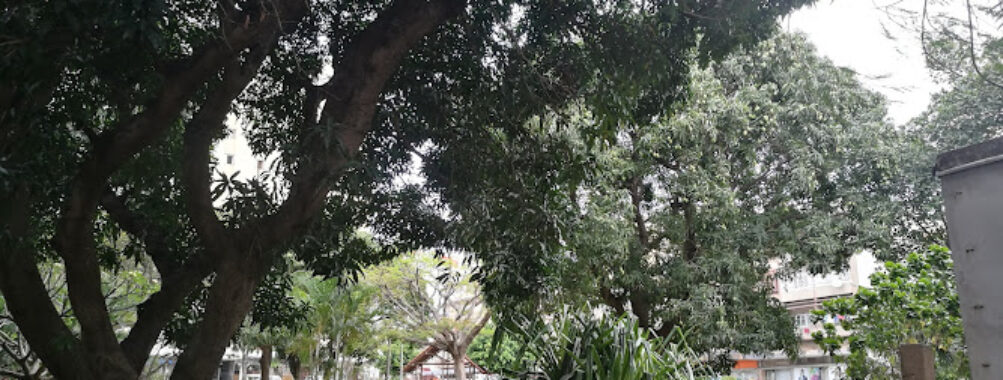 Jardim Dona Berta Travel Forum Reviews
