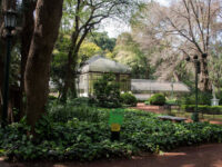 Jardín Botánico Carlos Thays Travel Forum Reviews