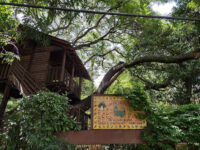 Jardín Botánico Faustino Miranda Travel Forum Reviews