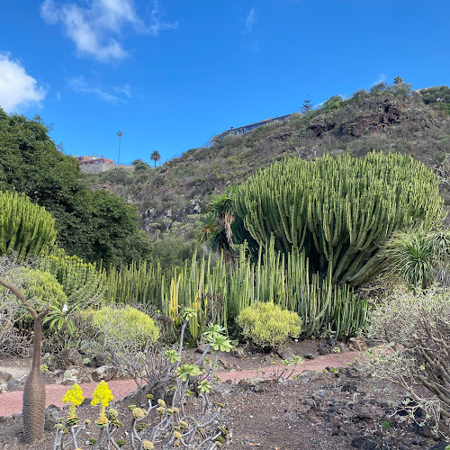 Jardín Botánico Viera y Clavijo
