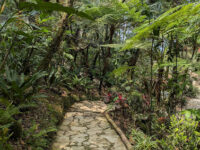 Jardín Botánico Xoxoctic Travel Forum Reviews