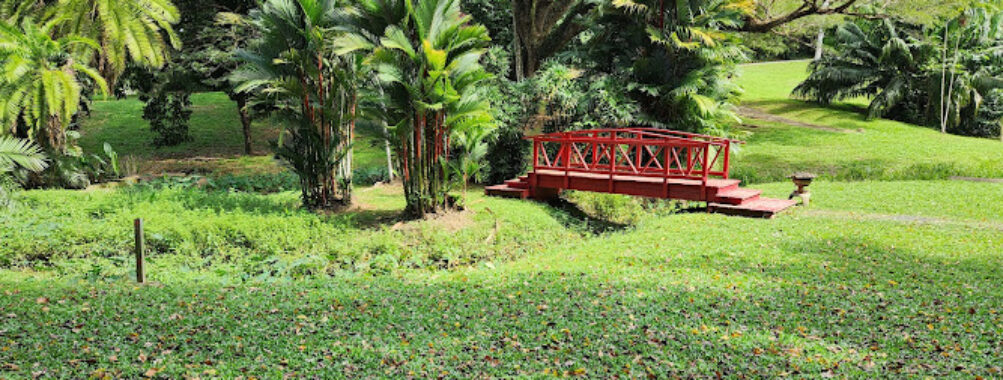 Jardín Botánico de la UPR Travel Forum Reviews
