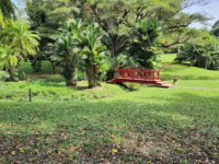 Jardín Botánico de la UPR Travel Forum Reviews