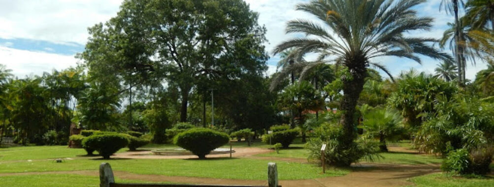 Jardin Botanique Travel Forum Reviews