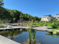 Jardin Botanique de Bordeaux Travel Forum Reviews