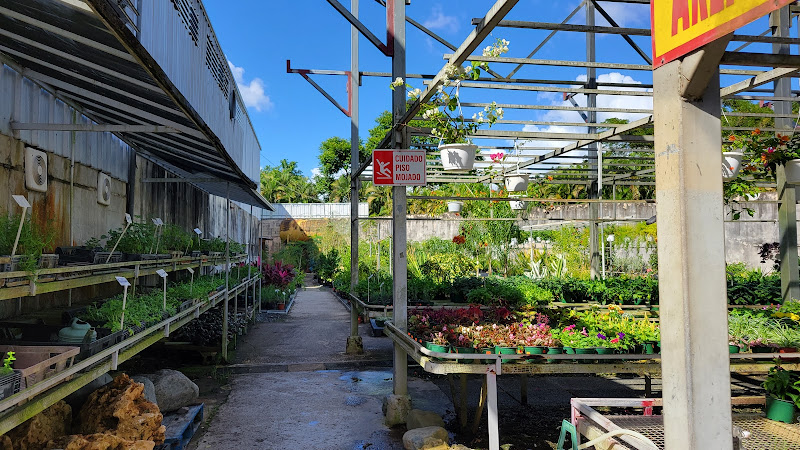 Jardín El Patio